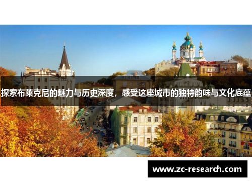 探索布莱克尼的魅力与历史深度，感受这座城市的独特韵味与文化底蕴